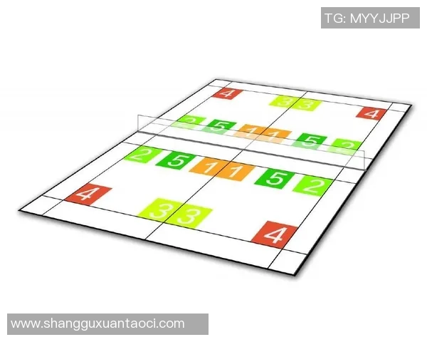 北京羽毛球队在邀请赛中的战术表现分析与总结
