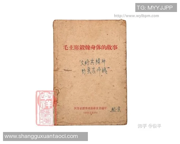 广州排球队的耐力之道：揭秘排球背后的坚持与拼搏精神